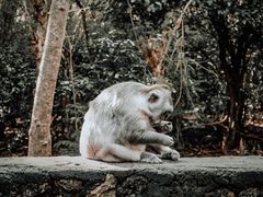 -乌鲁瓦图寺