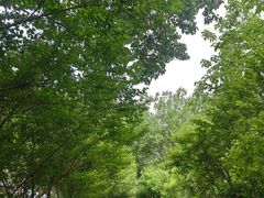 -敬亭山风景名胜区