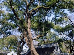 -绮园景区