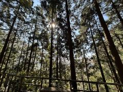 -东天目山风景区