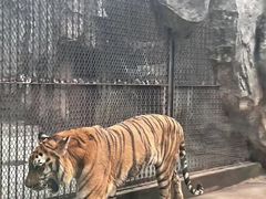 -南昌动物园