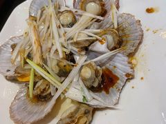油泼扇贝-晚归月亮湾私家菜(临邑路店)