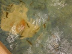 -东方之珠洗浴休闲广场(大港店)