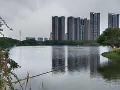 -广东花都湖国家湿地公园