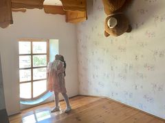 -金山农民画村-枫泾波兰倒置屋