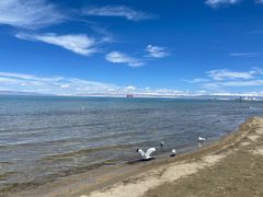 -青海湖国家重点风景名胜区
