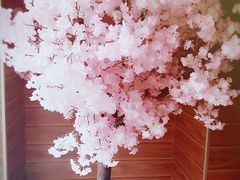 -月见·烧鸟酒场居酒屋(农科路店)