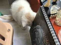 -惠康宠物医院(华能路店)