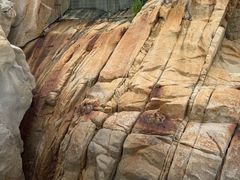 -胡里山炮台
