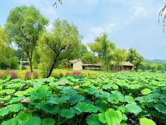-承德避暑山庄景区