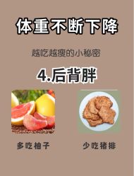 -Fundi张玉珊修身堂·indiba·BTL科技瘦身