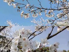 -重庆彩云湖湿地公园