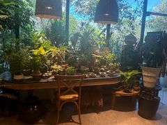 -自由生长植物工作室(深港花卉中心店)