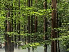 -北京植物园南门售票处