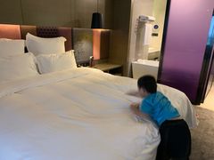 -南京禄口机场雅高铂尔曼大酒店