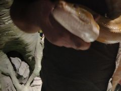 -萌宠奇缘