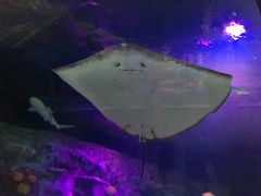 -沈阳海洋探索中心