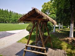 -合肥滨湖国家森林公园