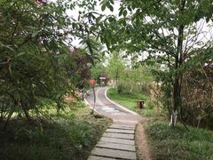 -桤木河湿地公园