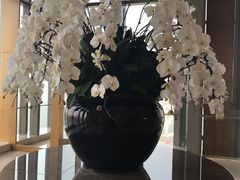 -视界美食自助餐厅·石家庄希尔顿酒店