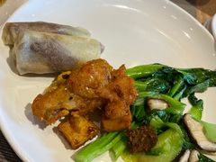 -齐河孔雀王温泉酒店·金孔雀自助百汇