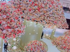 -TOYSRUS玩具反斗城(上海万象城店)