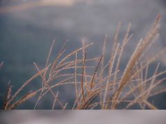 -东白山