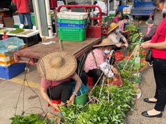 -清远三鸟海鲜农贸市场