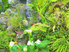 -北京植物园-展览温室