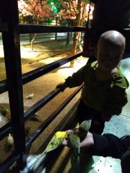 -酷嗒动物文化乐园(cutezoo西溪乐天城店)