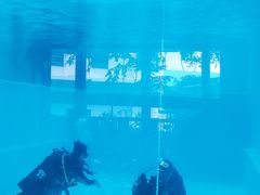 -上海潜殿潜水中心