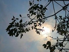 -十九路军淞沪抗日阵亡将士陵园