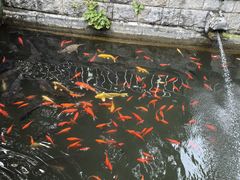 -红螺寺