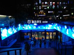 -盒马鲜生(杭州运河上街店)
