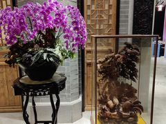 -龙悦湾酒家·八阵鱼生·渔人码头店
