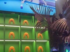 -不可思议减压馆·解压博物馆·摔碗发泄·团建定制