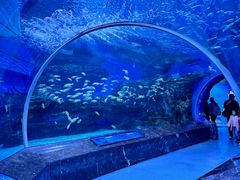 -海合安成都极地海洋公园