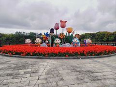 -上海鲜花港