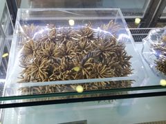 -三江源牌冬虫夏草(中山北路店)
