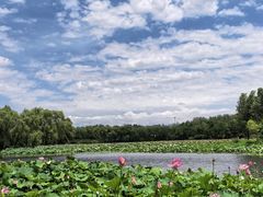 -东郊湿地公园