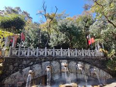 -蝴蝶泉公园