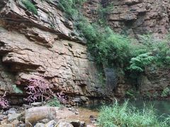 -湖洞水自然风景区