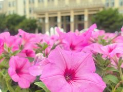 -大连理工大学(凌水校区)