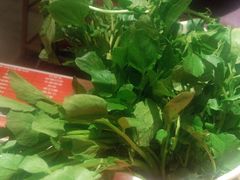 -牛很鲜潮汕牛肉火锅(朝晖路店)