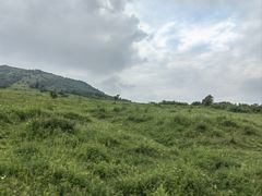 -灵山