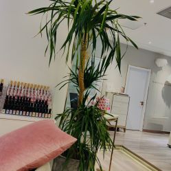 -染指坊日式美甲美睫设计中心