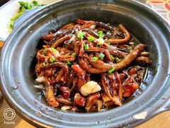 淮扬炒软兜-扬州狮子楼·非遗淮扬菜(东关街店)
