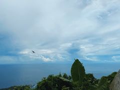 -海南铜鼓岭景区