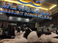 -铸信羽毛球俱乐部