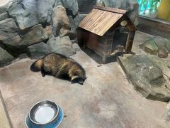 -顺德南宏海立方海洋公园